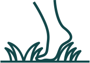  Mehta Highland Amenities Icon  